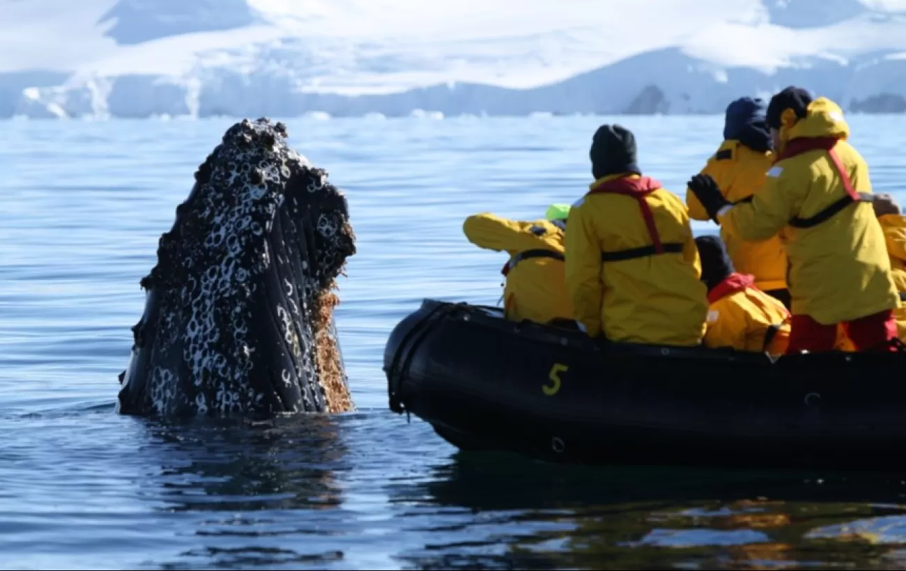 Unforgettable experiences on your Antarctic cruise