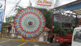 Colorful wheel