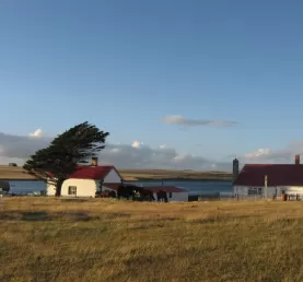 Goose Green, East Falkland