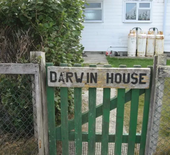 Darwin, East Falkland