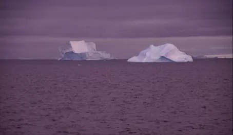 Large bergs in the distance