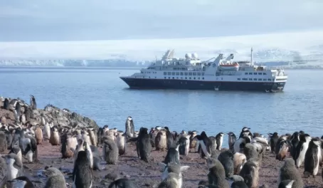Penguins and our Antarctica ship!
