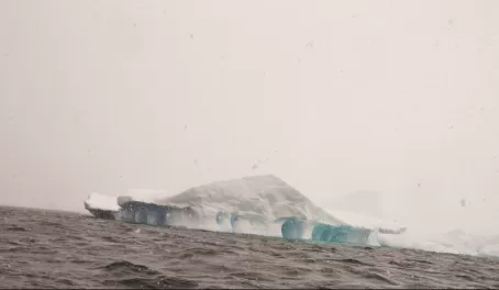 Snowy Antarctica