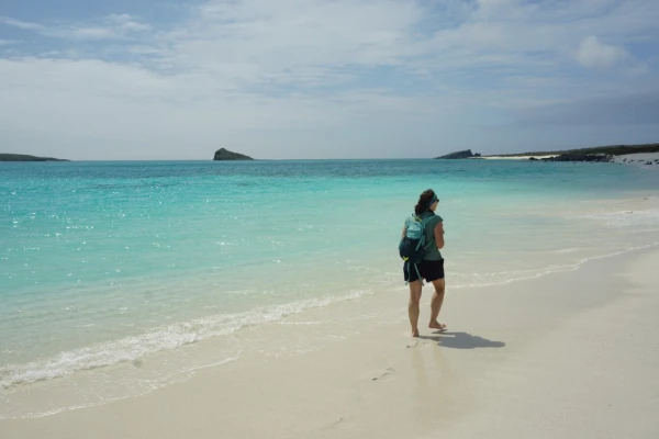 Beach Walk at Gardner Bay, Espanola, Galapagos Islands