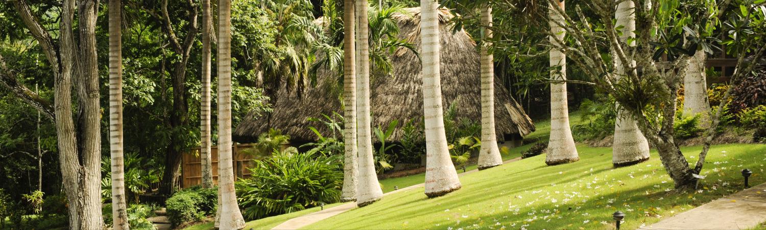 The Lodge At Chaa Creek Belize Jungle Lodges For Your Belize Tour