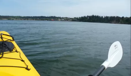Kayaking on our Puget Sound cruise on the Safari Endeavor