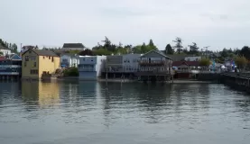 Puget Sound cruise on the Safari Endeavor