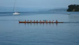 Native boat races seen during our Puget Sound cruise on the Safari Endeavor