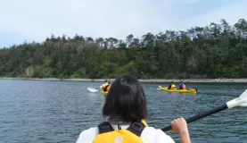 Puget Sound cruise on the Safari Endeavor