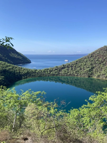 Vantage point of the saltwater volcanic crater lagoon, Darwin Lake and the Santa Cruz II anchored in the distance on the volcanic caldera, Tagus Cove.