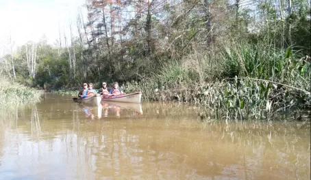 Kayaking the Tigre Delta
