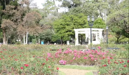 The Rose Garden at Palermo Park
