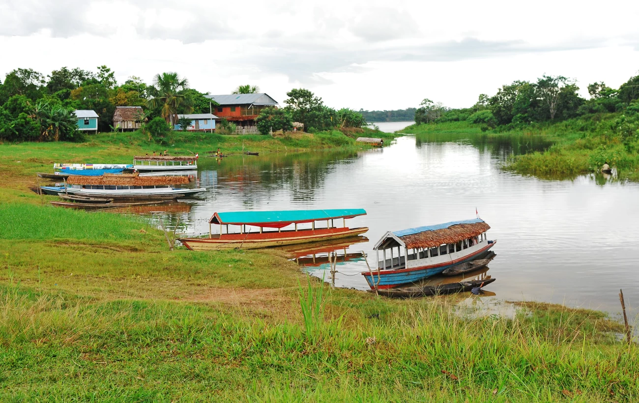 Amazonian landscape during a boat trip trough the pristine river