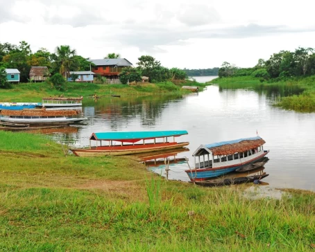 Amazonian landscape during a boat trip trough the pristine river