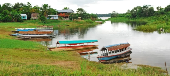 Amazonian landscape during a boat trip trough the pristine river