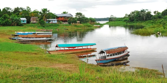 Amazonian landscape during a boat trip trough the pristine river