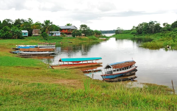 Amazonian landscape during a boat trip trough the pristine river