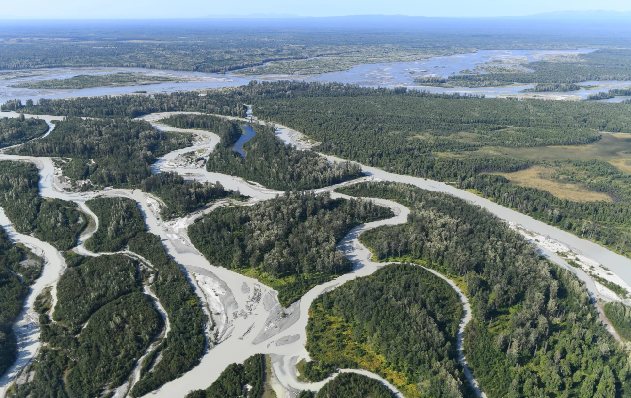 Glacial, braided type Talkeetna River displays “flour” colors and flows into mighty (somewhat clear) Susitna River