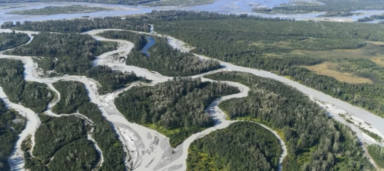 Glacial, braided type Talkeetna River displays “flour” colors and flows into mighty (somewhat clear) Susitna River