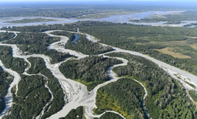 Glacial, braided type Talkeetna River displays “flour” colors and flows into mighty (somewhat clear) Susitna River