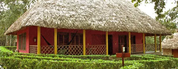 Accommodations are provided in thatched roof cabanas
