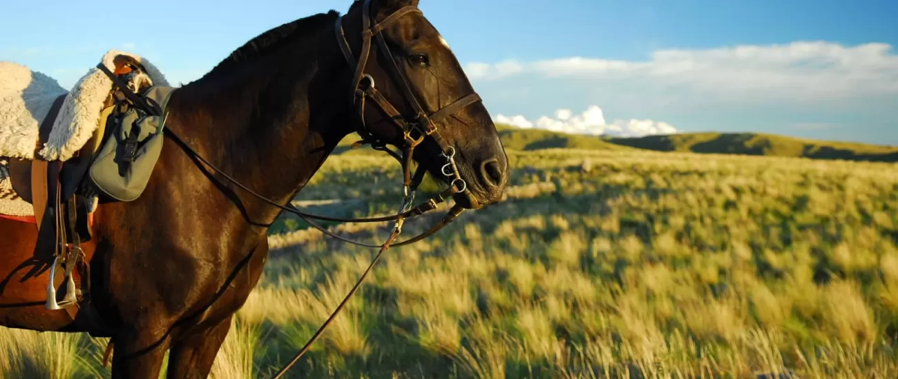 Explore Argentina by horseback during a stay at Estancia Los Potreros