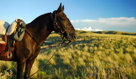 Explore Argentina by horseback during a stay at Estancia Los Potreros