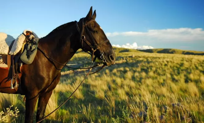 Explore Argentina by horseback during a stay at Estancia Los Potreros