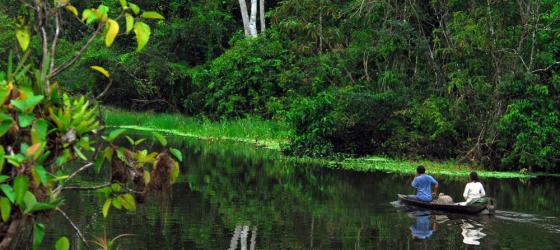 Canoeing down the Amazon