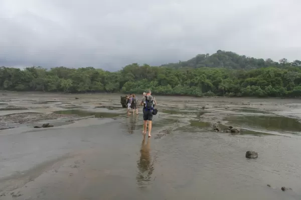 Crossing the mud flats on the Corcovado trekking trip