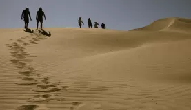 Sand dunes exploration