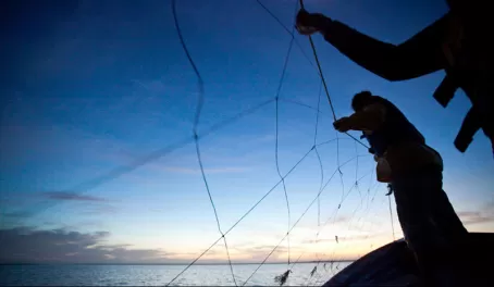 Setting up the net