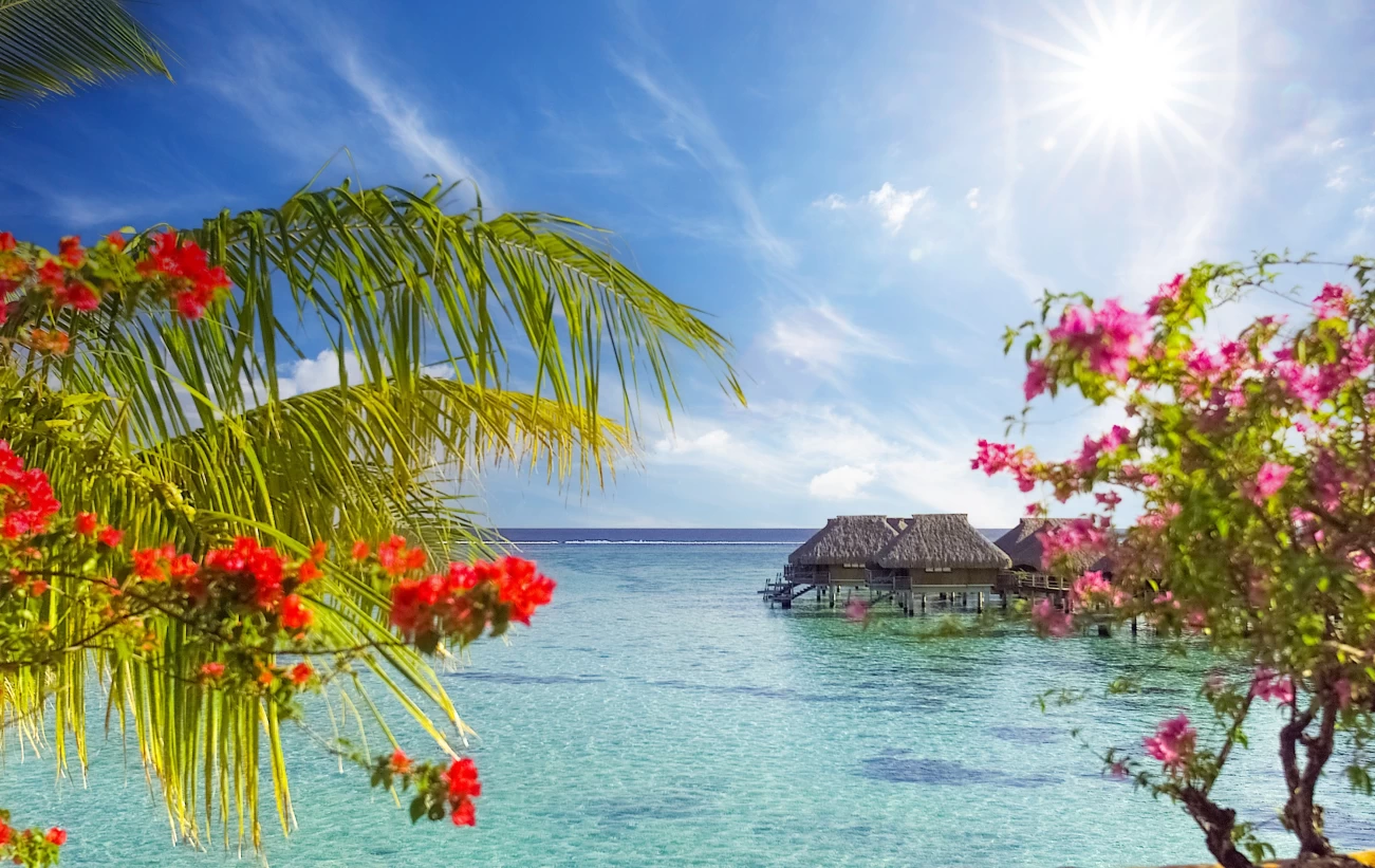 Bungalows in Moorea, French Polynesia