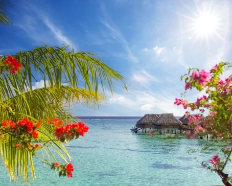 Bungalows in Moorea, French Polynesia