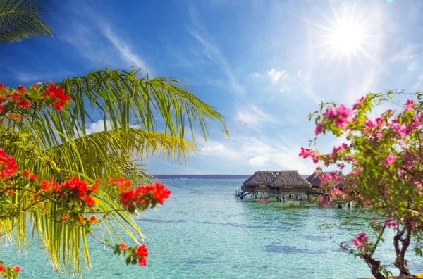 Bungalows in Moorea, French Polynesia