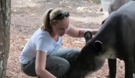 Melissa and the baby Tapir at the Belize Zoo