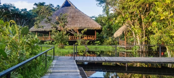 Sacha Lodge Walkway and Lodge