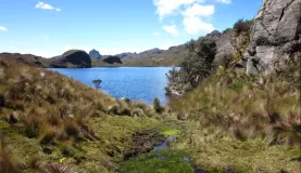 Lovely Laguna in Cajas National Park