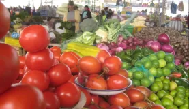 Rainbow veggies at the market
