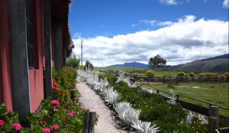The grounds at Hacienda El Porvenir