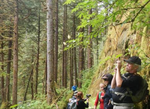 Hiking with our guide