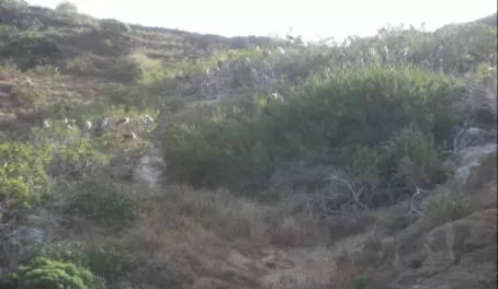Hiking at Punta Pitt, San Cristobal