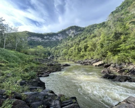 View of the banks of the Macal River in western Belize.