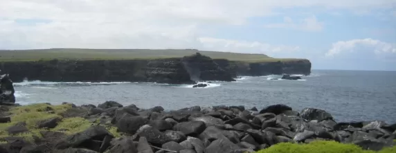It reminded me of the Cliffs of Moher!
