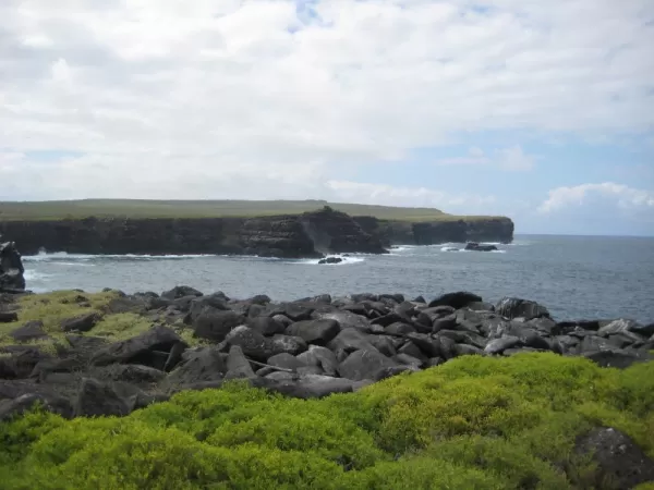 It reminded me of the Cliffs of Moher!