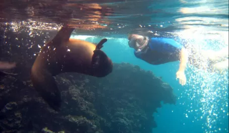 Snorkeling in the Galapagos.