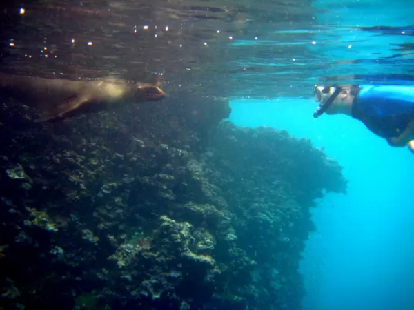 Snorkeling at Espanola