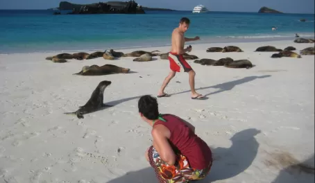 Sea lion attack!