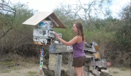 Checking the mail, Galapagos style