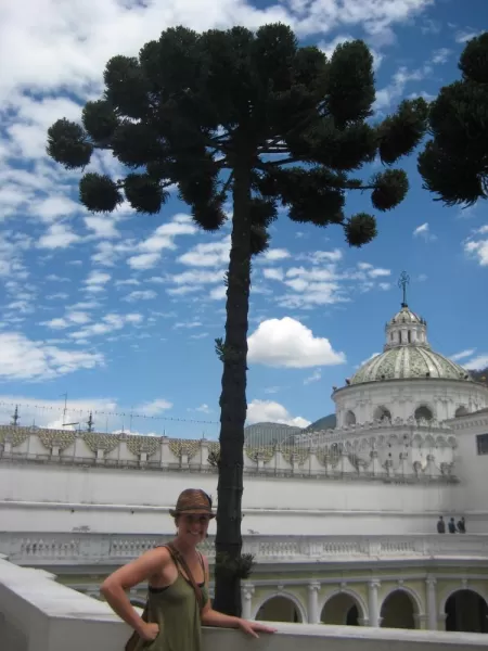 Monkey Puzzle Trees!  We had these in Ireland too!